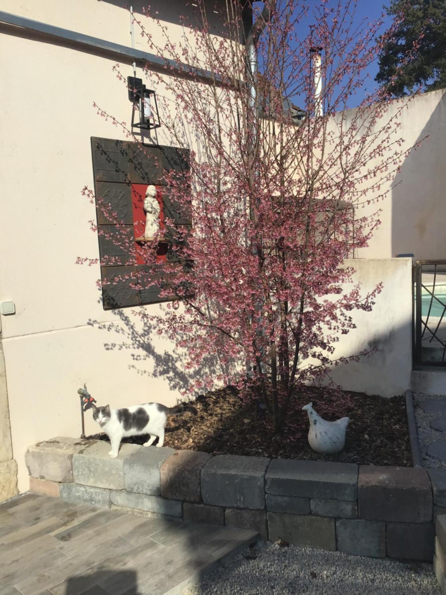 Ma Maison Beaune  Exterior photo